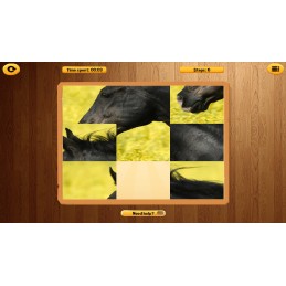 Our Wonderful World Steam CD Key