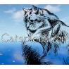 Catsploration PC Steam CD Key