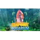 Snapshot Aquarium PC Steam CD Key