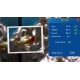 Snapshot Aquarium PC Steam CD Key