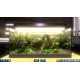 Snapshot Aquarium PC Steam CD Key