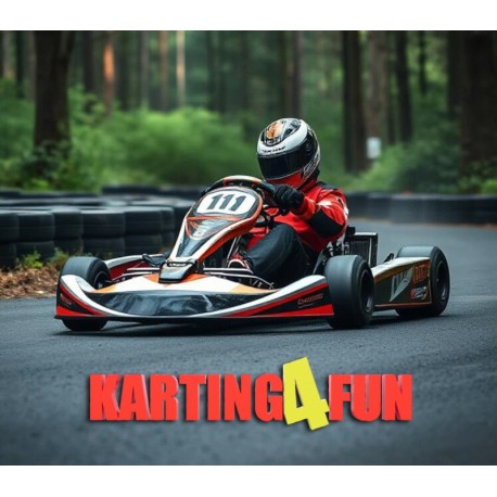 Karting4Fun PC Steam CD Key
