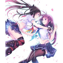 Valkyrie Drive -Bhikkhuni- PC Steam CD Key