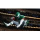 EA SPORTS Kickoff Bundle (Madden NFL 26 & College Football 26) EU Xbox Series X|S CD Key