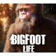 Bigfoot Life PC Steam CD Key