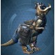 Star Wars: The Old Republic - Tauntaun Mount & Heat Storage Suit Digital Download CD Key