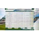 Cricket Captain 2017 Steam CD Key