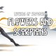 Legends of Savvarah: Flowers and Scorpions PC Steam CD Key