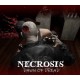 Necrosis: Dawn of Dread PC Steam CD Key