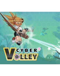 Cyber Volley PC Steam CD Key