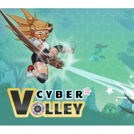 Cyber Volley PC Steam CD Key
