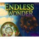 Endless Wonder VR PC Steam CD Key