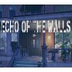 Echo of the Walls PC Steam CD Key