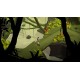 Lara Croft GO PC Steam CD Key