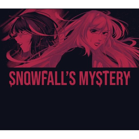 Snowfall's Mystery PC Steam CD Key