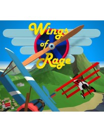 Wings Of Rage PC Steam CD Key