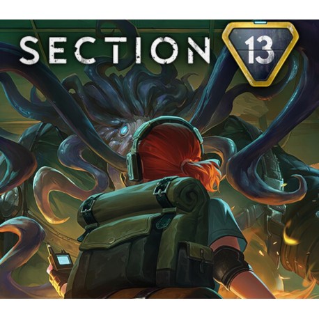 Section 13 PC Steam Account