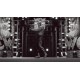 WWE 2K23 Cross-Gen Digital Edition XBOX One / Xbox Series X|S Access