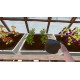 OxyRail PC Steam CD Key