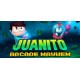 Juanito Arcade Mayhem PC Steam CD Key