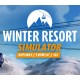 Winter Resort Simulator PC Steam Account