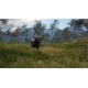 theHunter: Call of the Wild - Emerald Coast Australia DLC PC Steam CD Key (valid until March, 2027)
