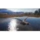theHunter: Call of the Wild - Duck and Cover Pack DLC PC Steam CD Key (valid until March, 2027)