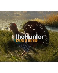 theHunter: Call of the Wild - Revontuli Coast DLC PC Steam CD Key (valid until March, 2027)