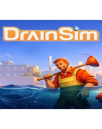 DrainSim PC Steam Account