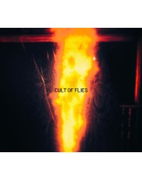 CULT OF FLIES PC Steam CD Key