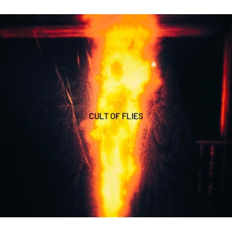 CULT OF FLIES PC Steam CD Key