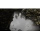 Reflecting Fate Steam CD Key