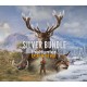 theHunter: Call of the Wild Silver Bundle US XBOX One CD Key