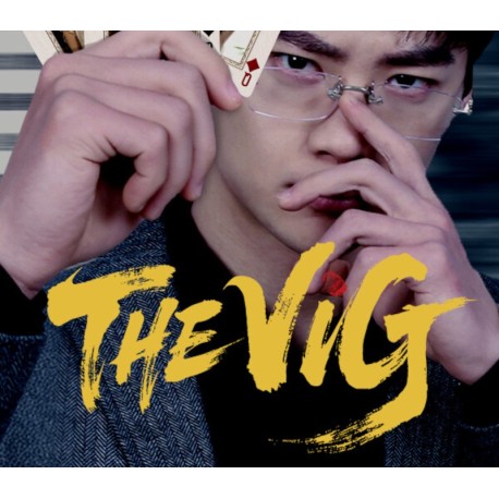 THE VIG PC Steam CD Key