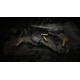 Hunt: Showdown 1896 - Lonely Howl DLC PC Steam CD Key (valid until February 2027)