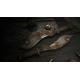 Hunt: Showdown 1896 - The Concubine DLC PC Steam CD Key (valid until February 2027)