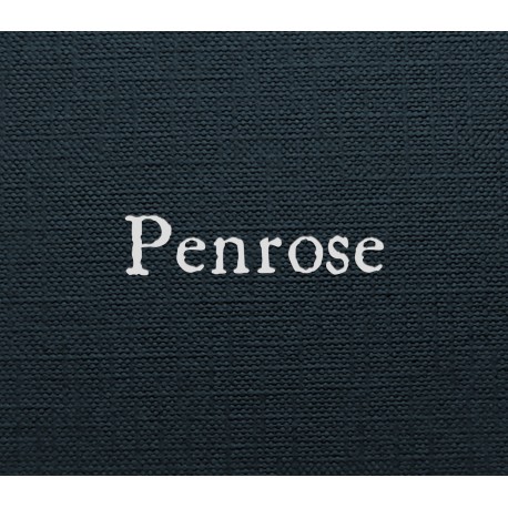 Penrose PC Steam CD Key