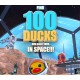 Find 100 Ducks and Blast Them...IN SPACE!!! PC Steam CD Key