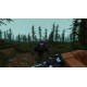 Everwind PC Steam Account
