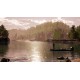 Fishing Sim World: Pro Tour Collector's Edition Steam CD Key