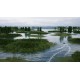 Fishing Sim World: Pro Tour Collector's Edition Steam CD Key