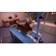 Animal Shelter 2 - Vet Clinic DLC PC Steam CD Key