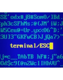 Terminal ESC PC Steam CD Key