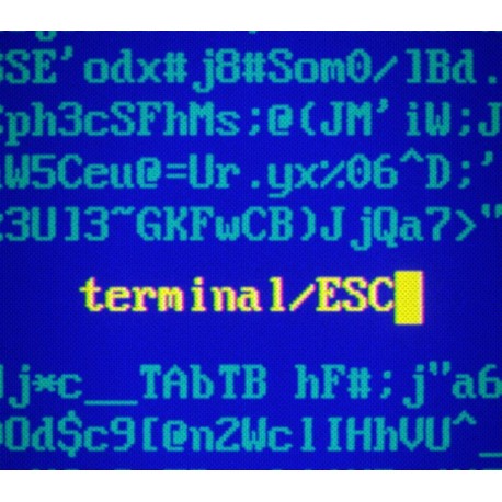 Terminal ESC PC Steam CD Key