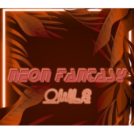 Neon Fantasy: Owls PC Steam CD Key