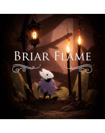 Briar Flame PC Steam CD Key