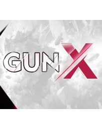 GunX - Lock and Load PC Steam CD Key