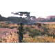 Cabela’s African Adventures Steam CD Key