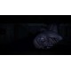 White Day: A Labyrinth Named School EU XBOX One / Xbox Series X|S CD Key