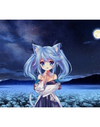 KARAKARA Bundle Steam CD Key